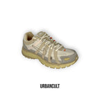 Nike P-6000 College Grey Beige
